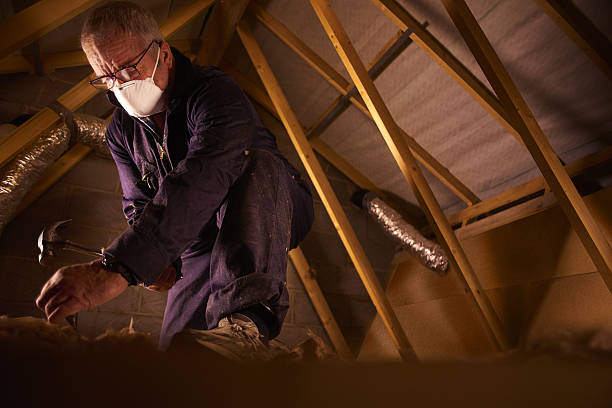 Types of Insulation We Offer in Holladay, UT